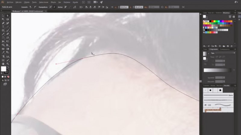 How To Vectorize An Image With Illustrator 800x449 How To Vectorize An Image With Illustrator