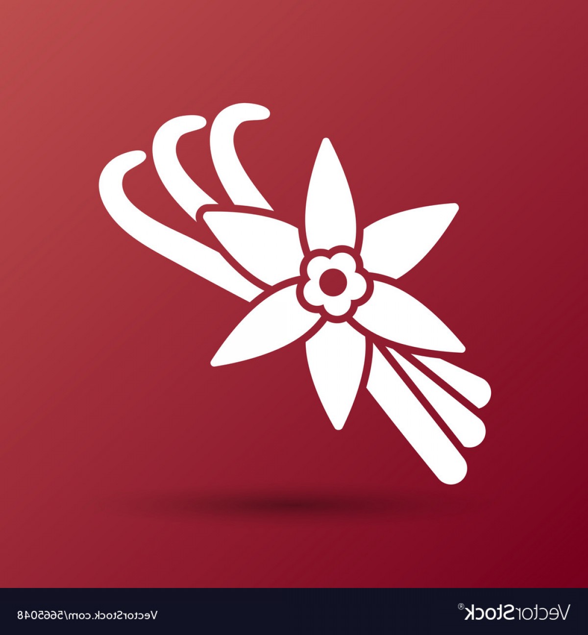 1200x1296 Adobe Logo Vector Hoodamathrun