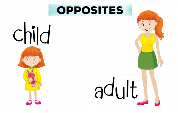 626x398 Opposite Wordcard With Child And Adult Vector Free Download