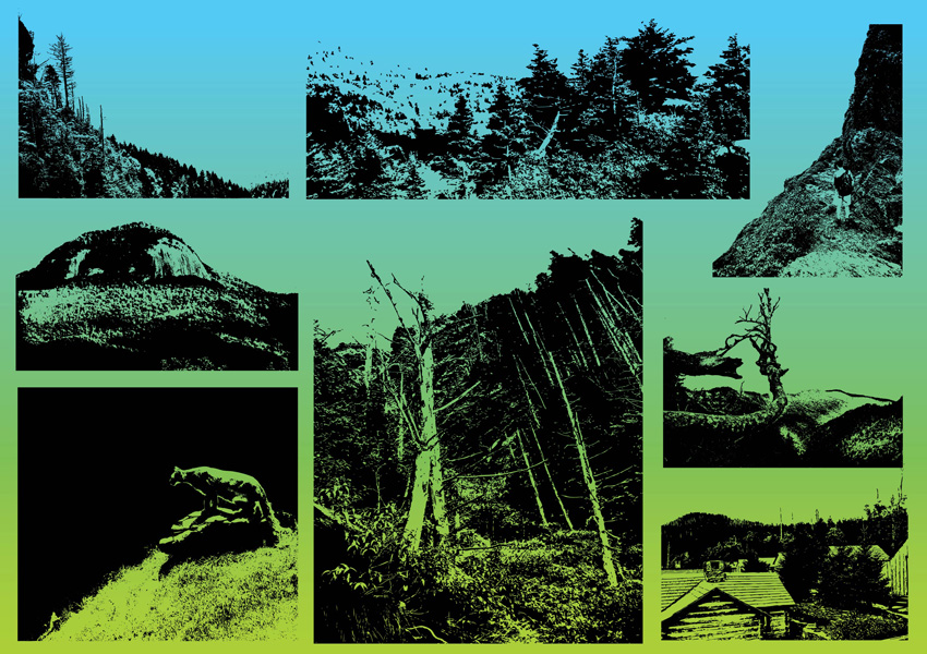 850x600 Adventure Vectors Vector Art Graphics