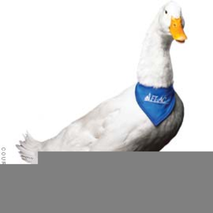 300x300 Aflac Duck Clipart Free Free Images