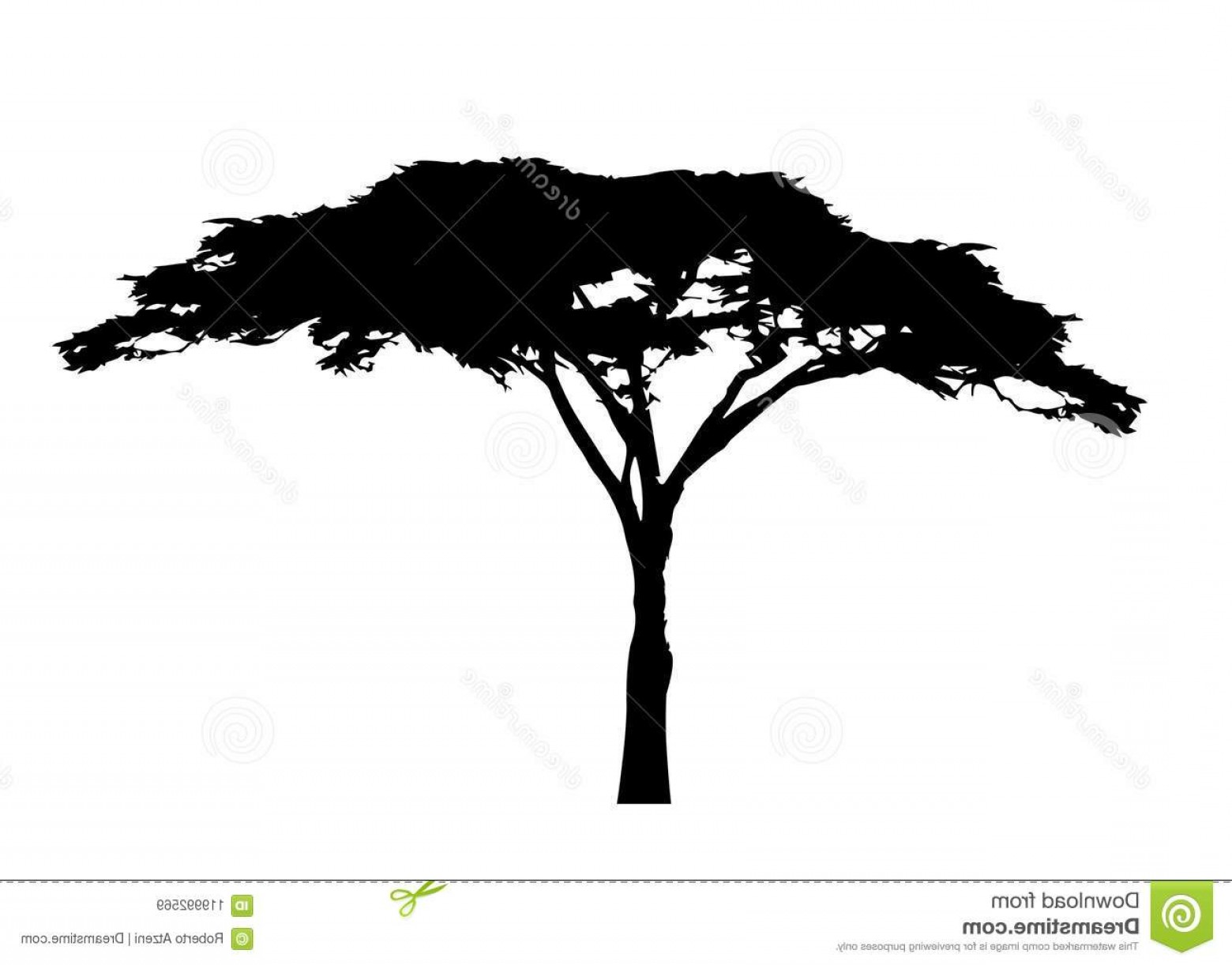 African Tree Icon Acacia Silhouette Vector Isolated White 1560x1222 African Tree Icon Acacia Silhouette Vector Isolated White