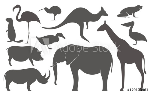 Wild Animals Africa Silhouette 500x310 Wild Animals Africa Silhouette
