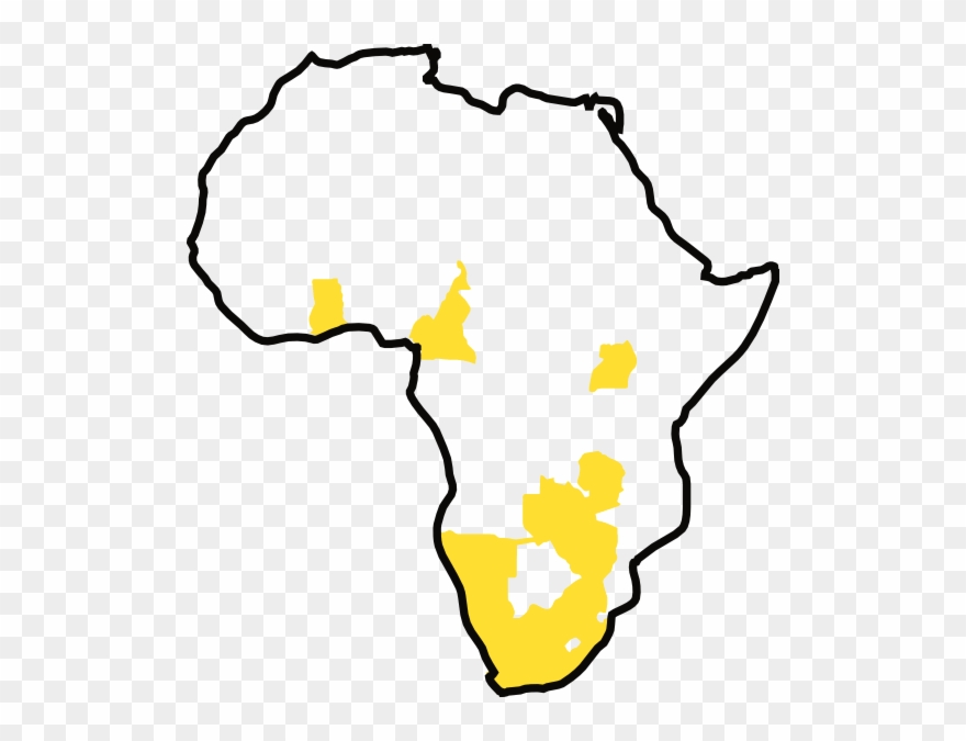 880x675 African Problems