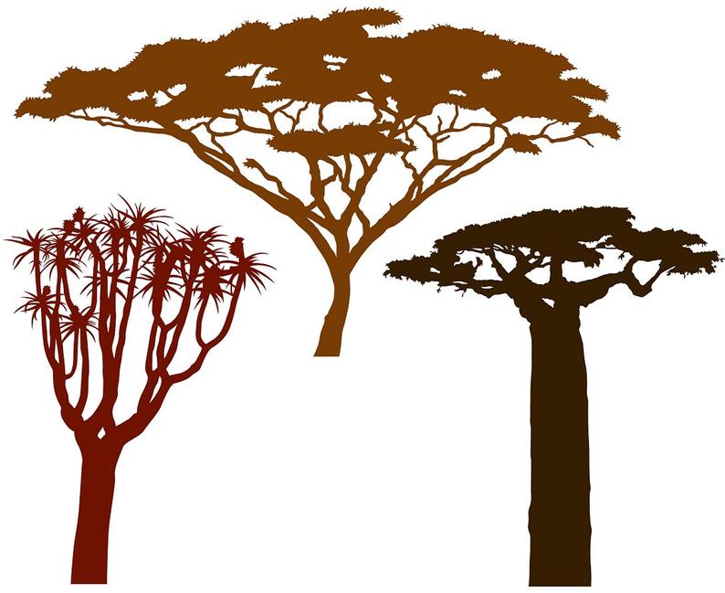 794x649 African Trees Vector For Home Wall Decals Etsy