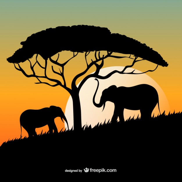 626x626 African Sunset With Elephants And Tree Silhouettes Vector Free