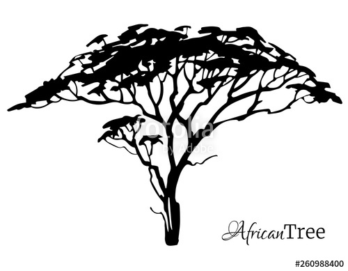 500x389 African Tree Black Silhouette Isolated Vector Illustration