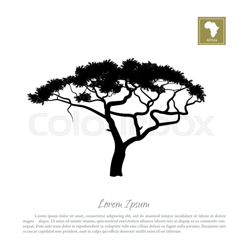 800x800 Black Silhouette Of A Tree And White Stock Vector Colourbox