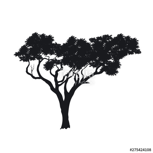 500x500 Black Silhouette Of African Tree On White Background Isolated