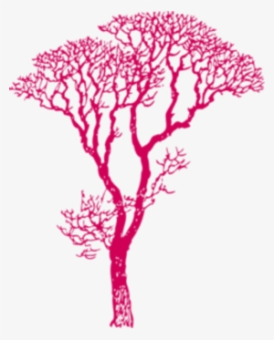 300x373 Tree Silhouette Vector Png, Transparent Tree Silhouette Vector Png