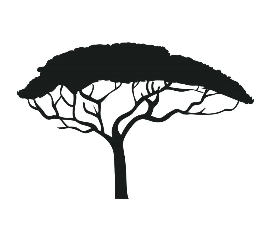 African Tree Silhouette Vector at Vectorified.com | Collection of ...