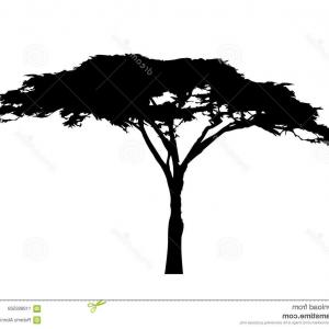 300x300 African Tree Icon Acacia Silhouette Vector Isolated White
