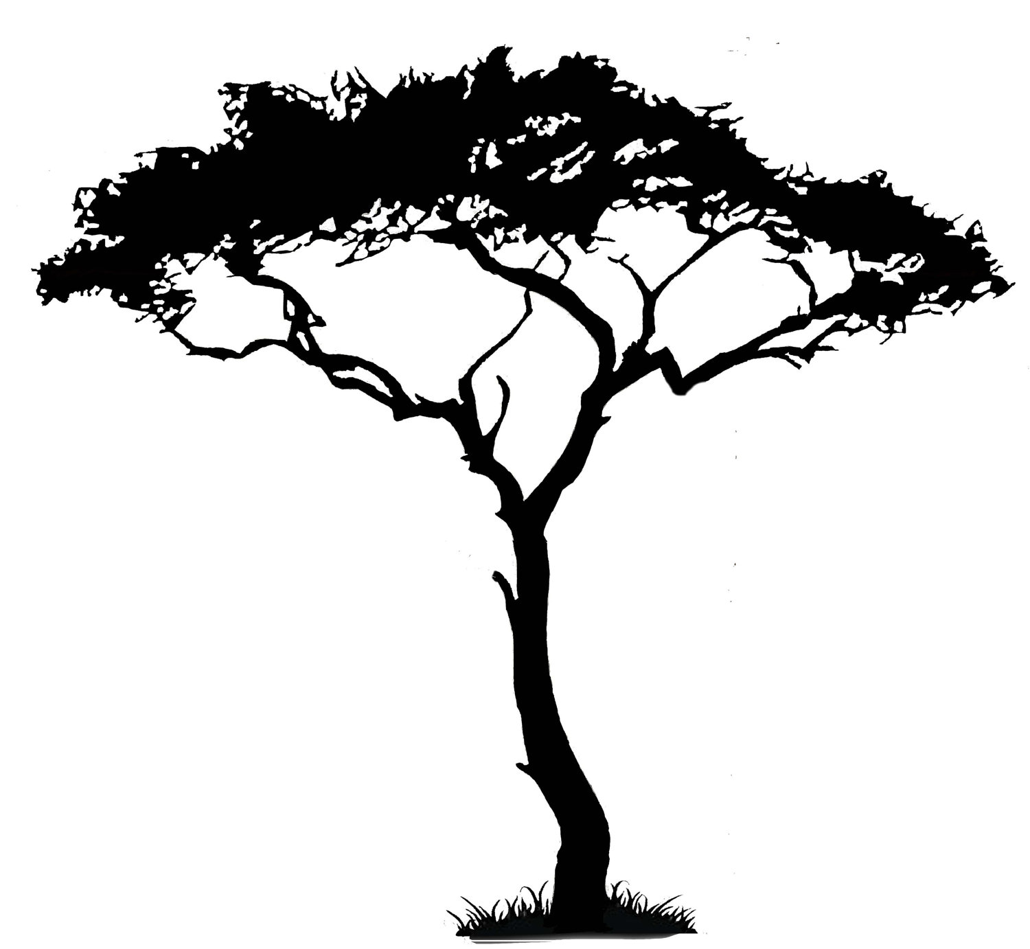 1500x1382 African Tree Silhouette