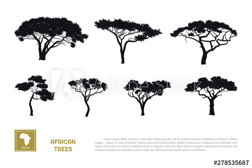 500x334 Black Silhouettes Of African Trees On White Background Isolated