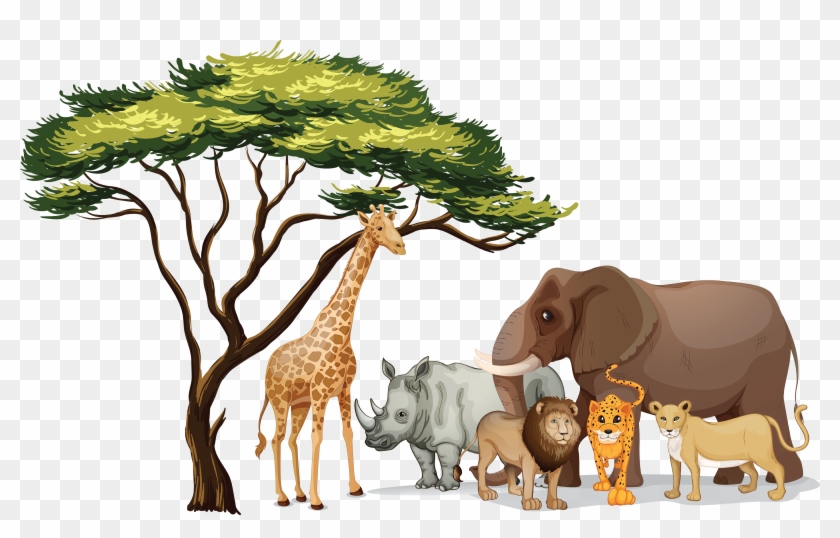 840x538 Collection Of Free Vector Theme Download