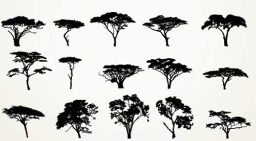 500x276 Tree Photoshop Brushes For Nature And Summer Themed Designs