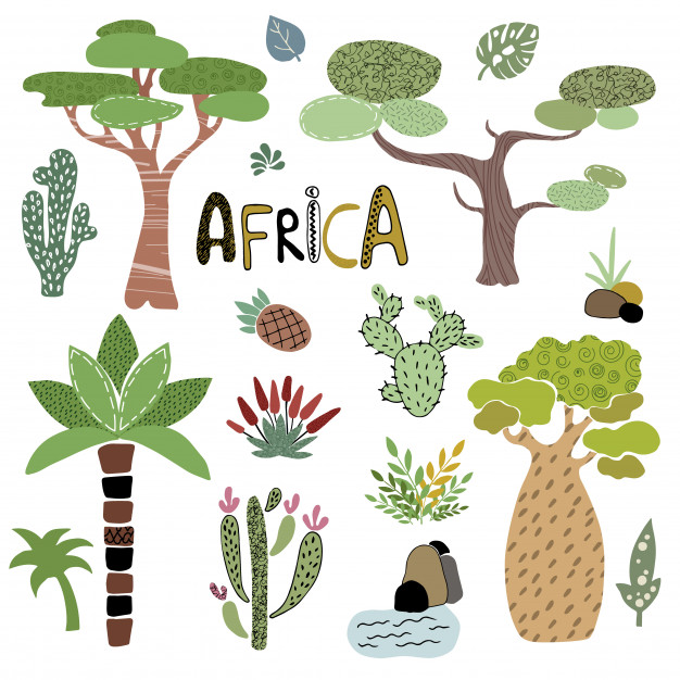 626x626 Vector Set Of African Palm Trees Vector Premium Download