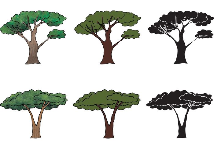 700x490 African Tree Archives My Graphic Hunt