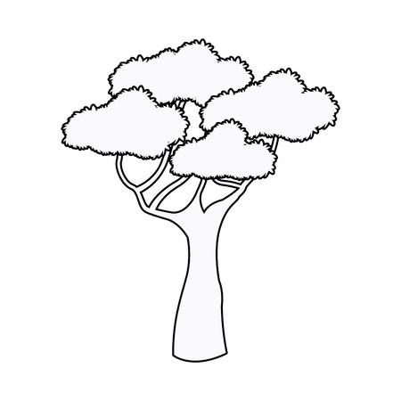 African Tree Vector At Vectorified.com 