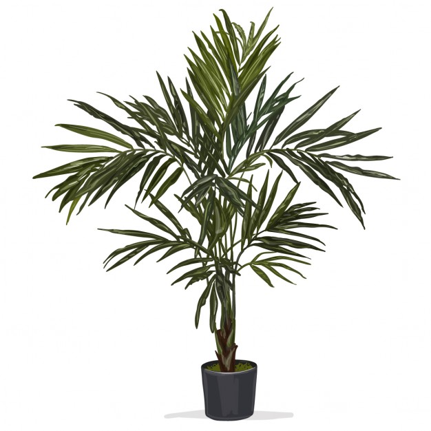 626x626 Agave Vectors, Photos And Free Download