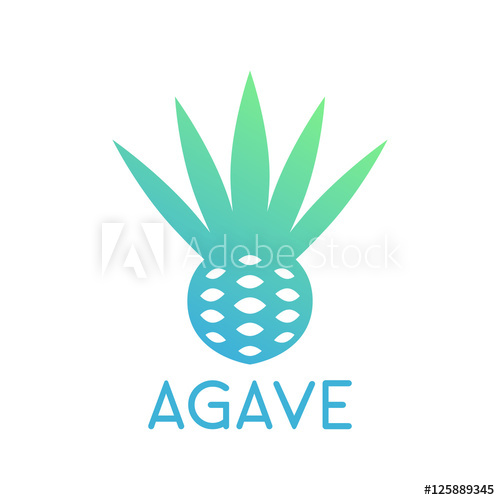 500x500 Agave Plant, Flower Logo Template Isolated On White
