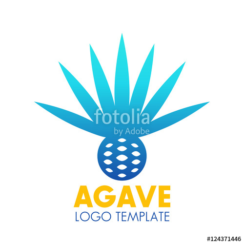 500x500 Agave Plant, Flower Logo Template Over White Stock Image