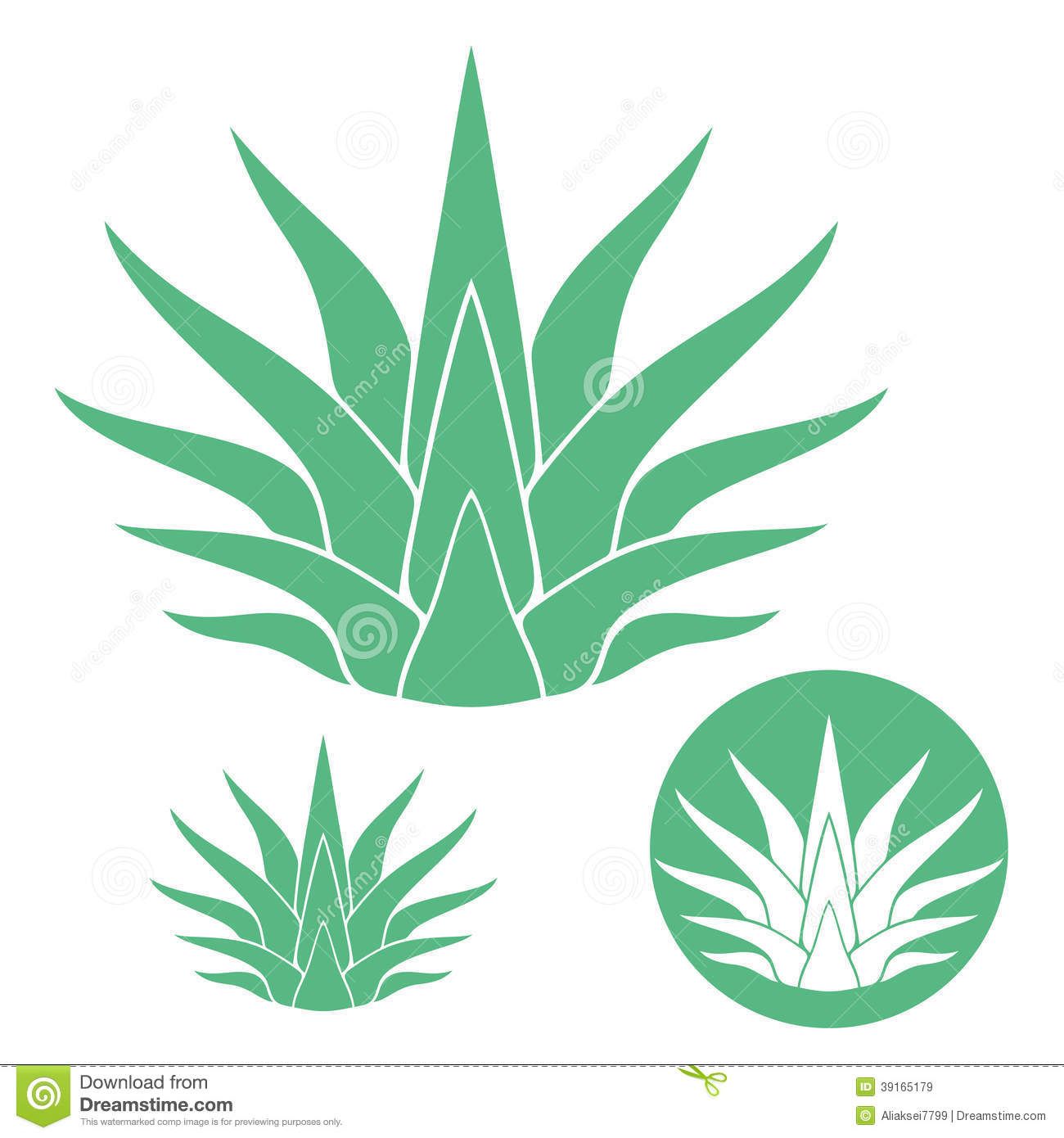 1300x1390 Pin On Plant Tattoos