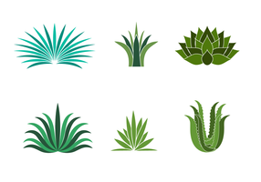 286x200 Agave Plant Free Vector Art