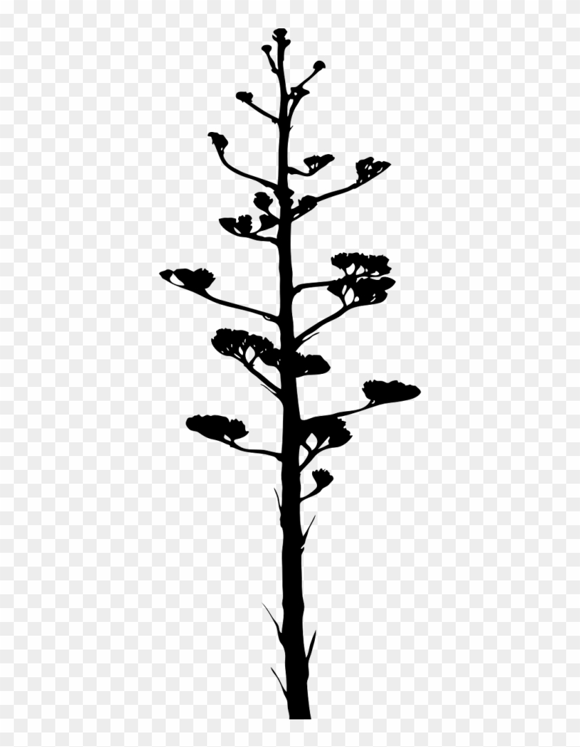 840x1081 Vector Graphics