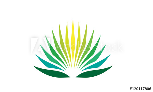500x300 Agave Plant Logo