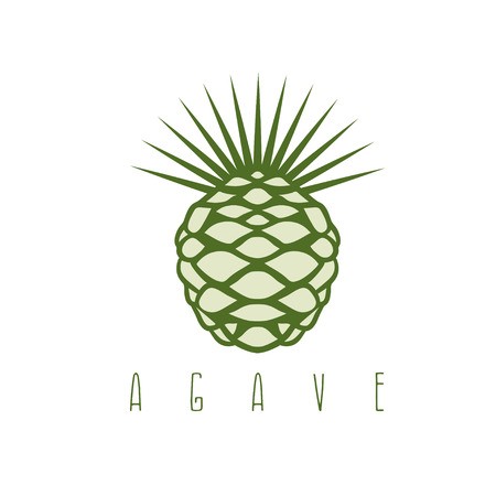 450x450 Vector Design Template Of The Agave Plant Royalty Free Vector