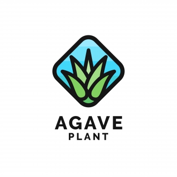 360x360 Agave Png, Vector, And Clipart With Transparent Background