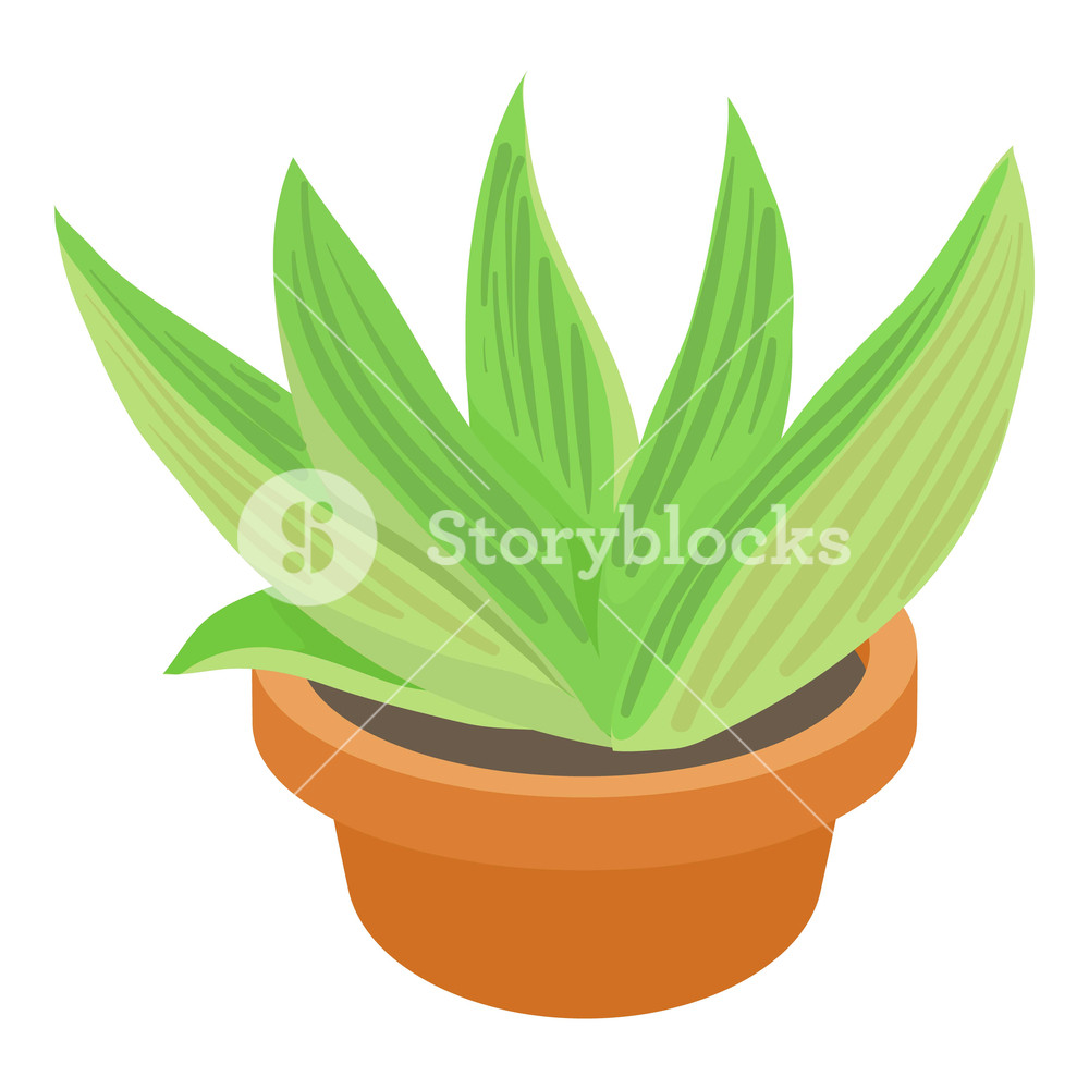 1000x1000 Agave Icon Cartoon Illustration Of Agave Vector Icon For Web
