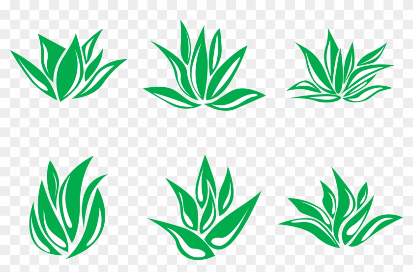 840x555 Aloe Vera Euclidean Vector Agave Deserti Clip Art