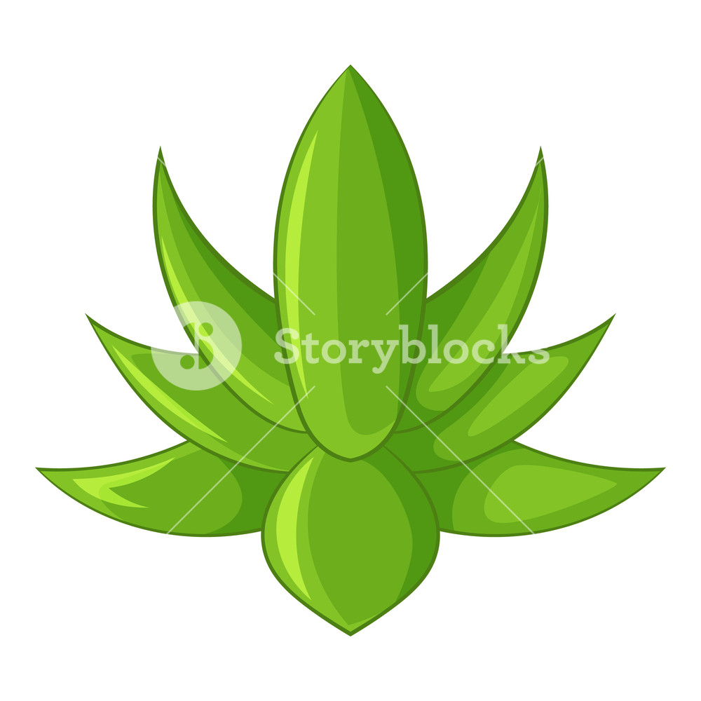 1000x1000 Big Agave Icon Cartoon Illustration Of Big Agave Vector Icon
