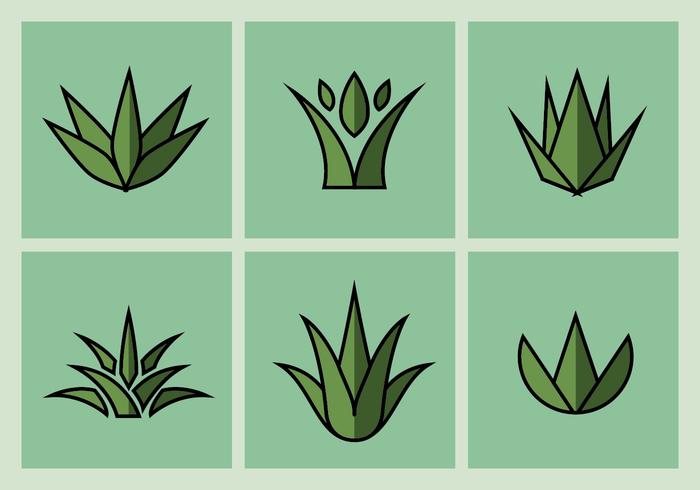 700x490 Download Vector