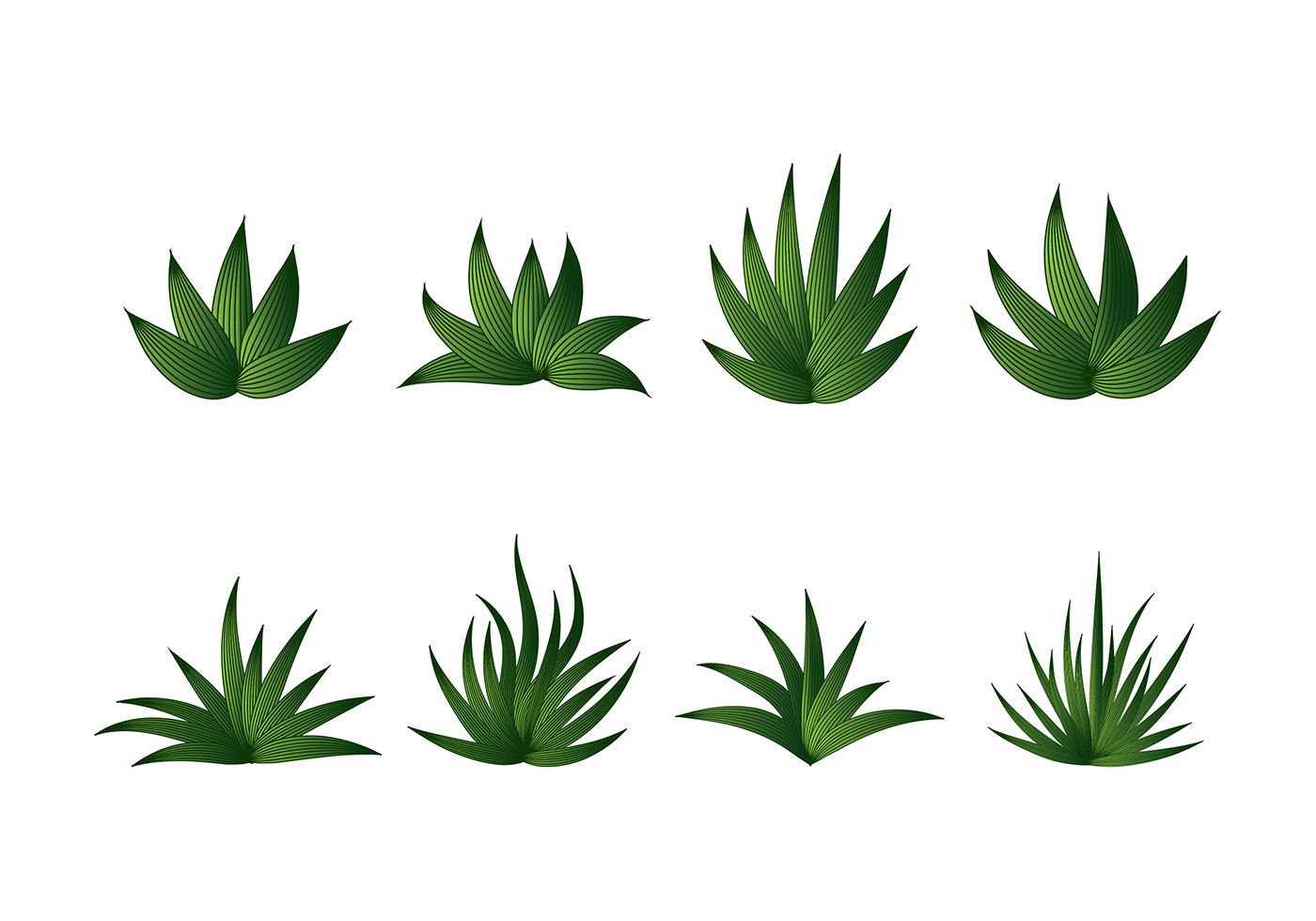 1400x980 Maguey Vector Gates Agaves, Vector Art, Art