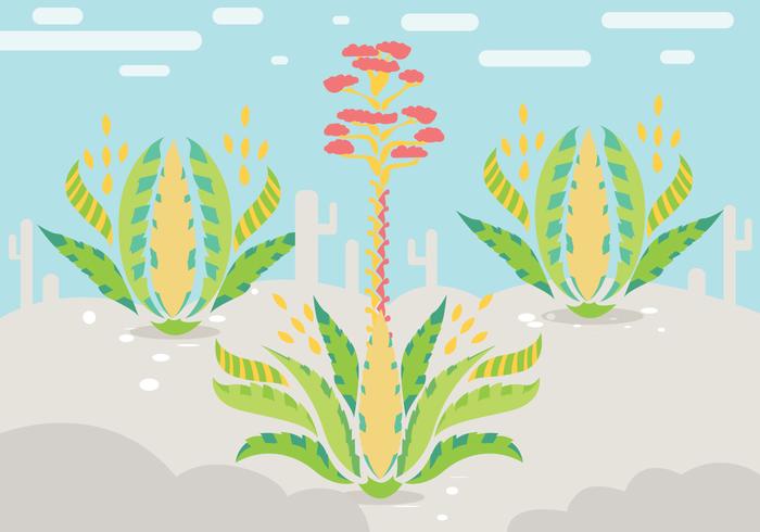 700x490 Maguey Illustration Vector