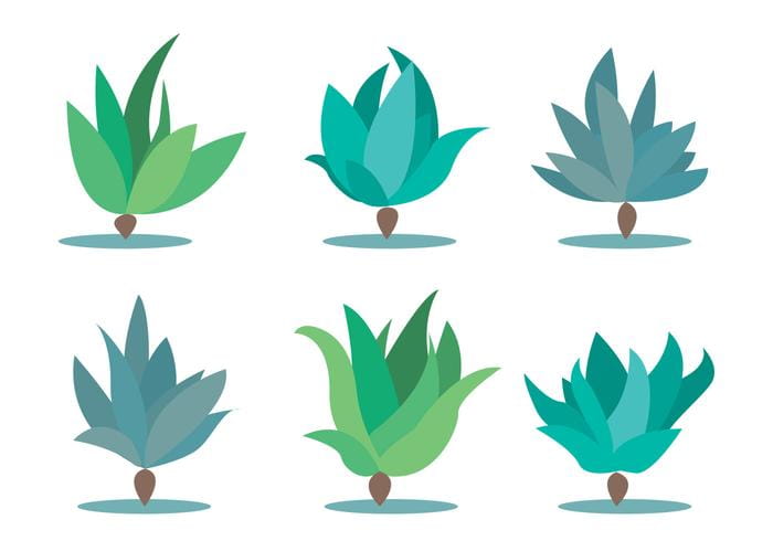 700x490 Maguey Vector Set Free Graphics Uihere