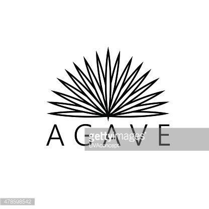 Agave Vector at Vectorified.com | Collection of Agave Vector free for ...