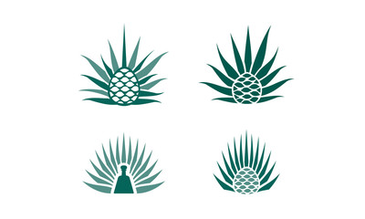 400x240 Agave Vector Photos, Royalty Free Images, Graphics, Vectors