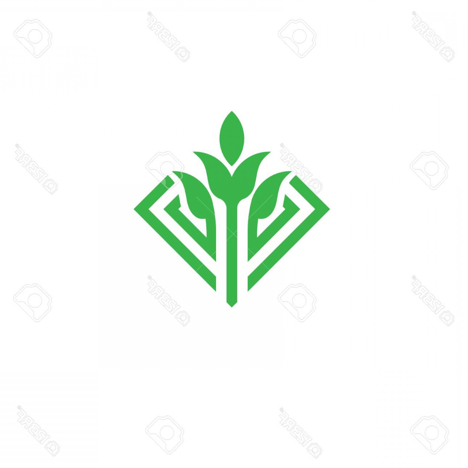 1560x1560 Sprouts Logo Vector Hoodamathrun
