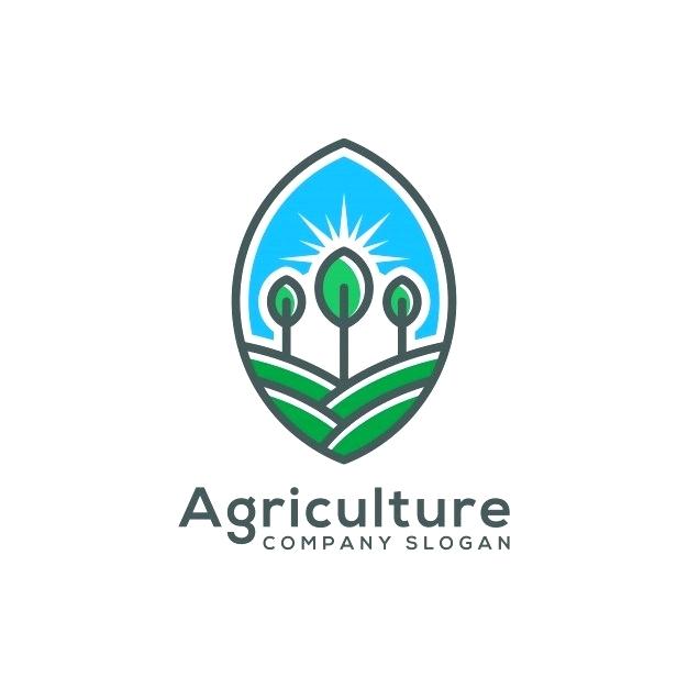 626x626 Template Cdr Agriculture Logo Vector Premium Download X Banner