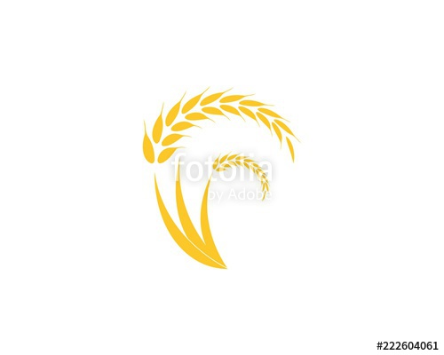 500x400 Wheat Rice Agriculture Logo Vector Template Stock Image
