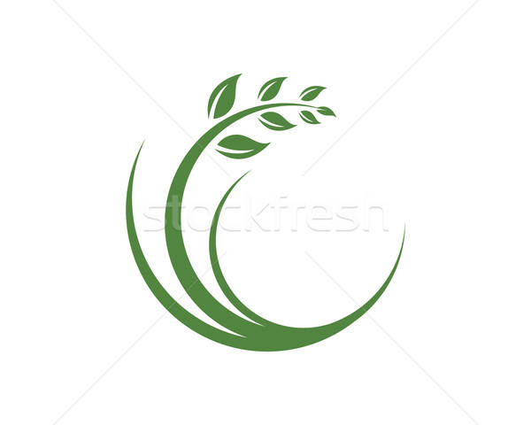 600x480 Agriculture Logo Vector Illustration Dar Woto