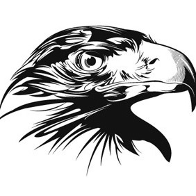 282x282 Detailed Eagle Free Vector Download Cannypic