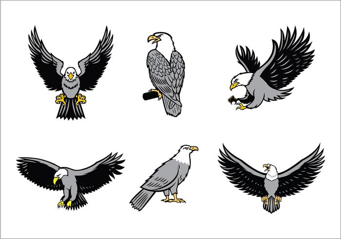 700x490 Eagle Free Vector Art
