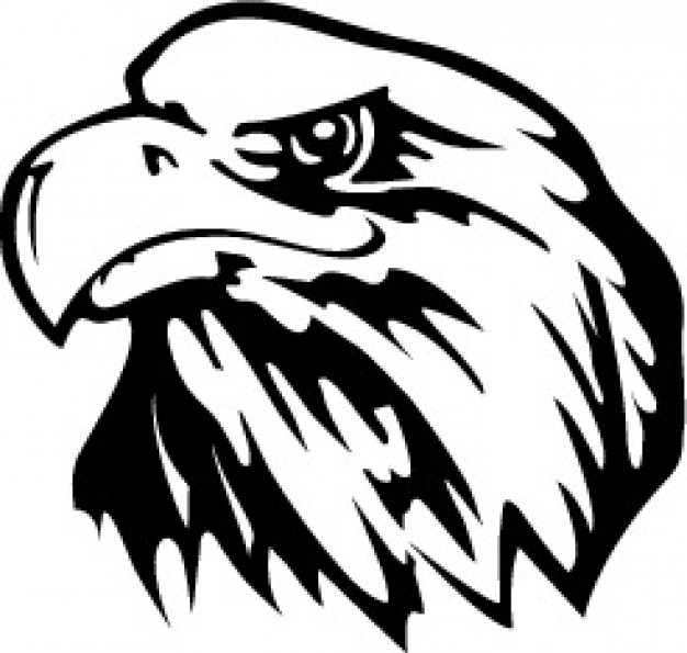 626x595 Eaglke Head Closeup Vector Free Download