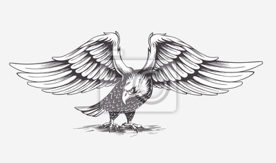 400x236 Mano Detallada Dibujado Vector Carteles Para La Pared