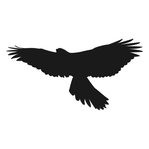 512x512 Aguila Png Vector, Clipart